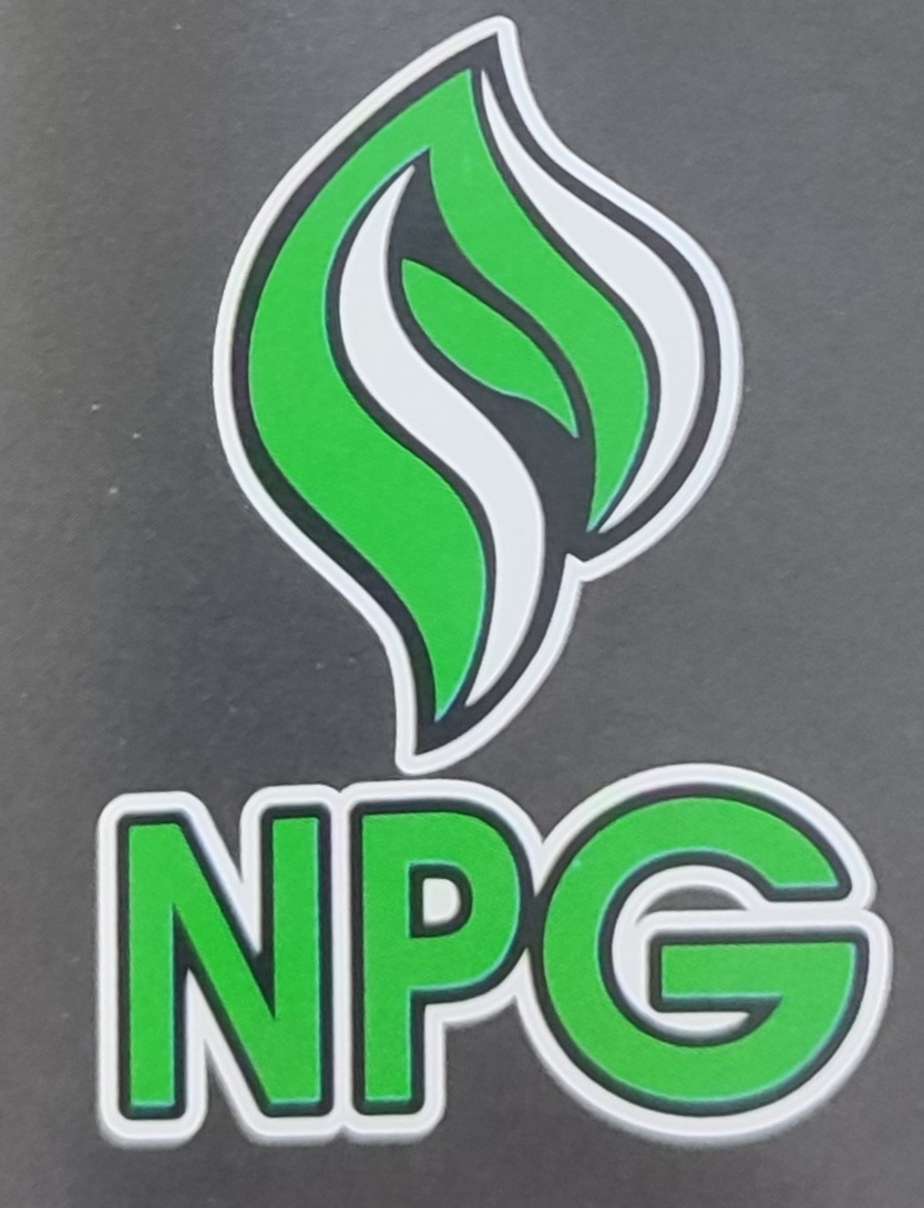 Бензин А-95 (Євро 5), NPG картка